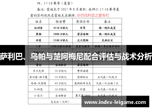 萨利巴、乌帕与楚阿梅尼配合评估与战术分析 萨利巴、乌帕与楚阿梅尼配合评估与战术分析