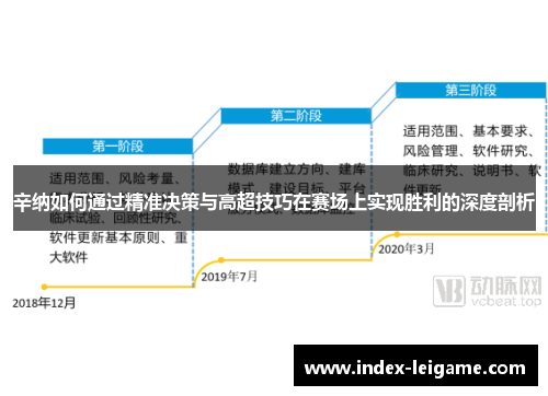 辛纳如何通过精准决策与高超技巧在赛场上实现胜利的深度剖析